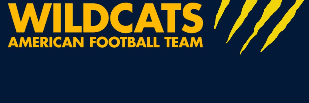 Wildcats banner