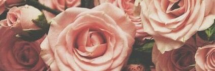 SpencerDaQueen's profile banner image