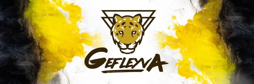 gefleyva's profile banner image