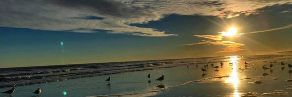 JenAbneyWPDE Profile Banner