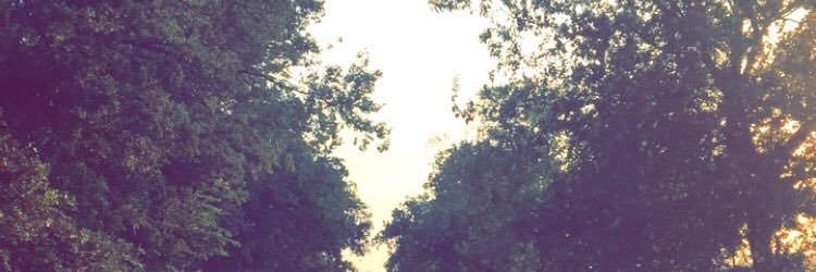 payton_a12's profile banner image