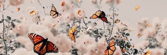 Mama_CoCo19's profile banner image