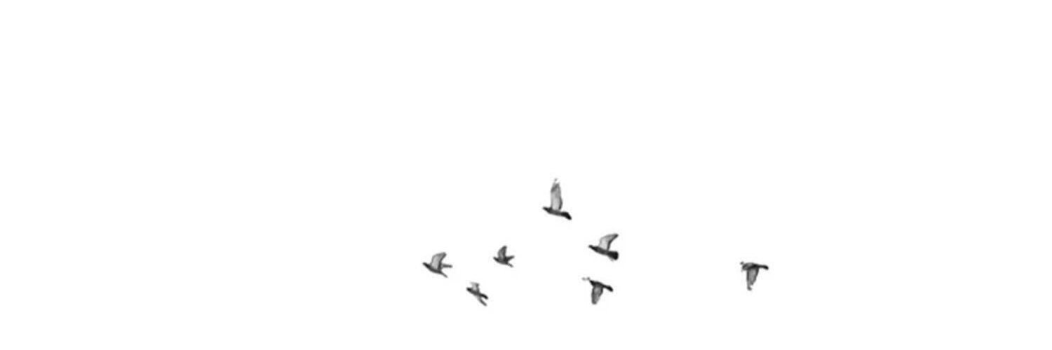 monai_jbar's profile banner image