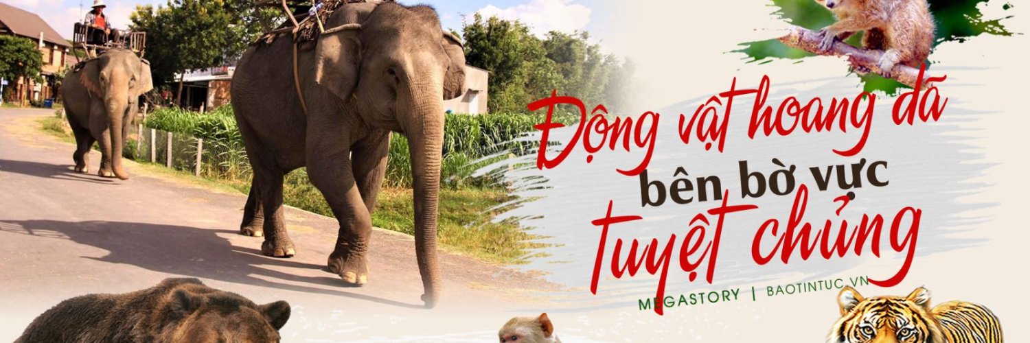 Alejandro Zárate ꧁IP꧂ Reddio banner