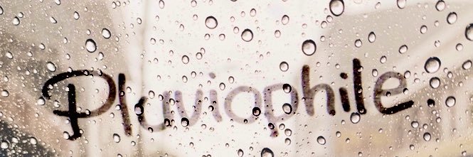bryllyan's profile banner image