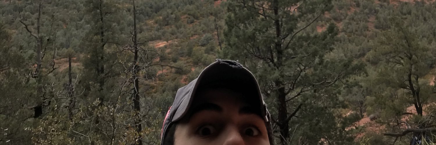 HollyHorsfall's profile banner image