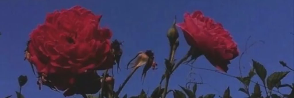 nvx_76's profile banner image