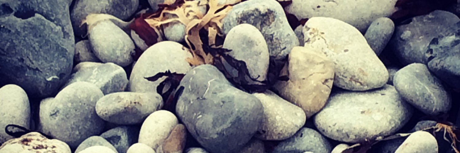 hannahmarsh04's profile banner image