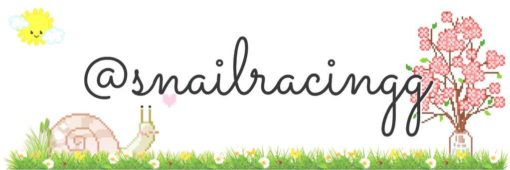 snailracingg's profile banner image