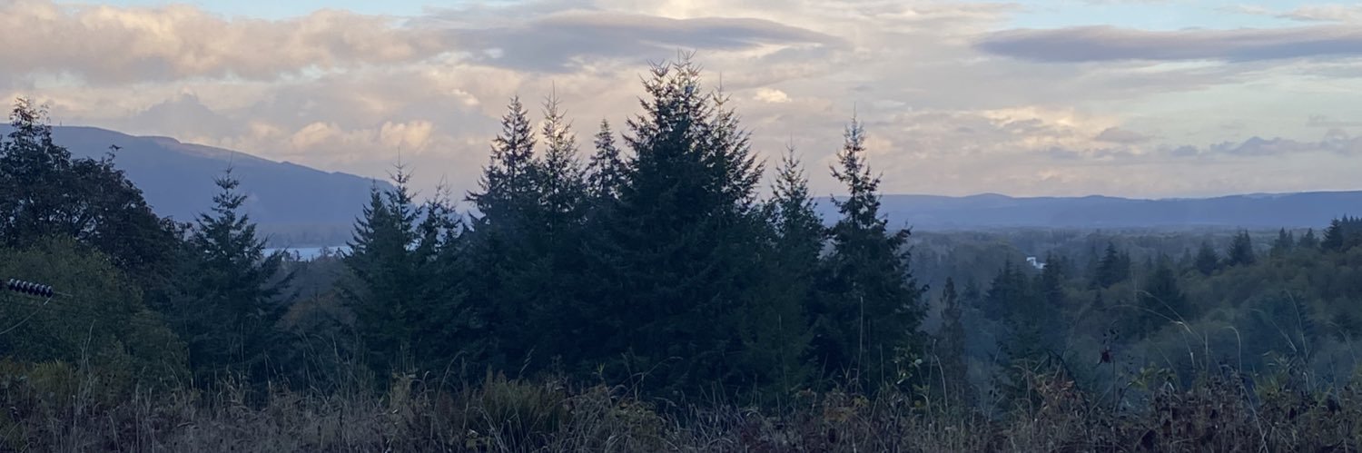 Kristalswint22's profile banner image