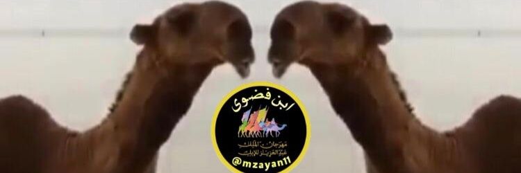 mzayan11's profile banner image