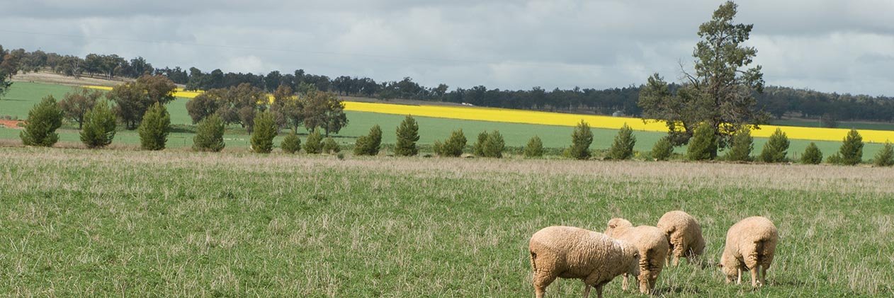 @FarmBiosecurity banner