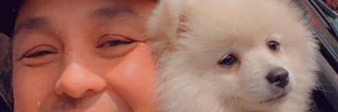 Ritchie Bristol banner