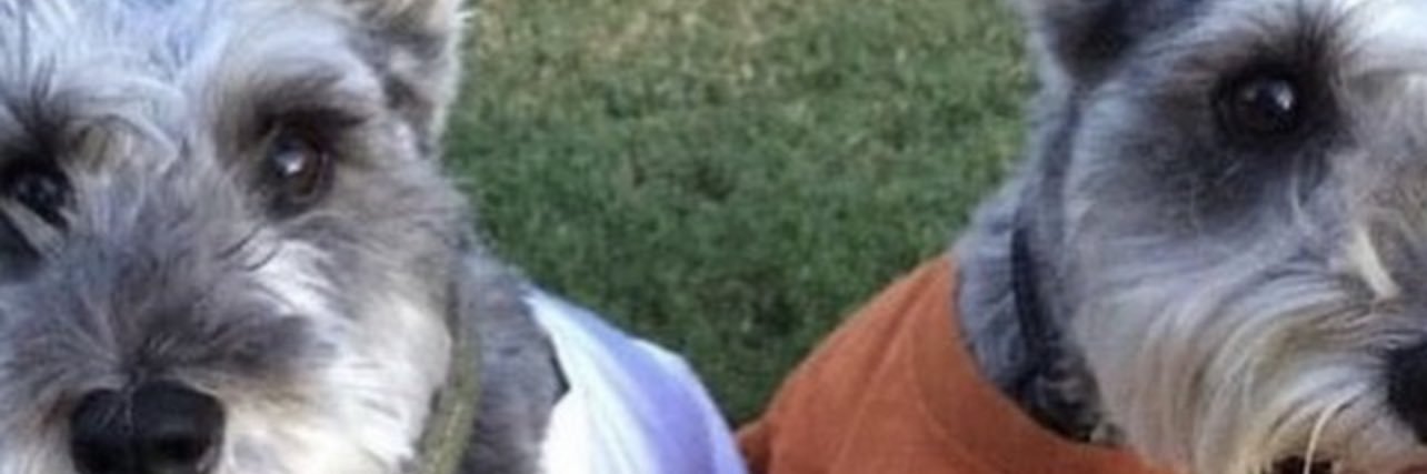 stacybk's profile banner image