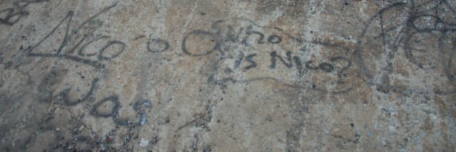 nicolas banner