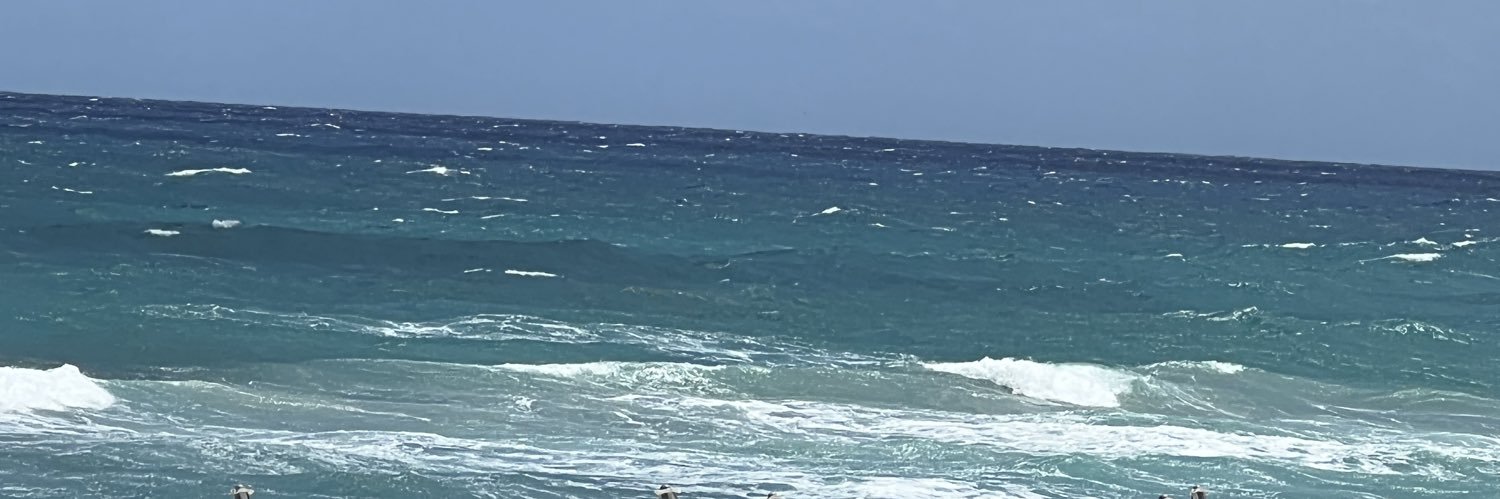 StopTheFrauds's profile banner image