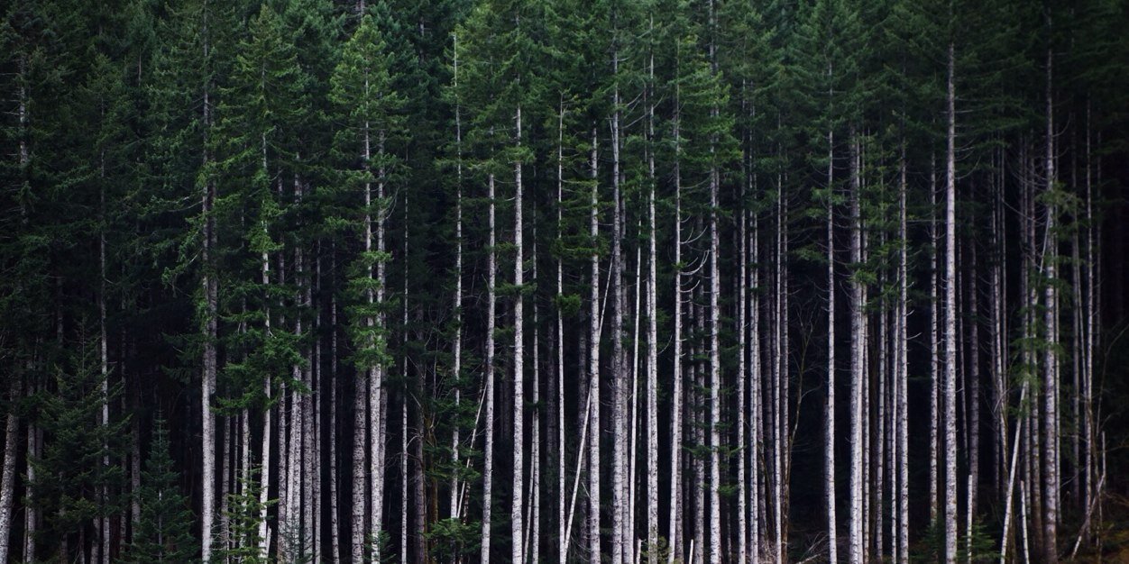 kerosky's profile banner image