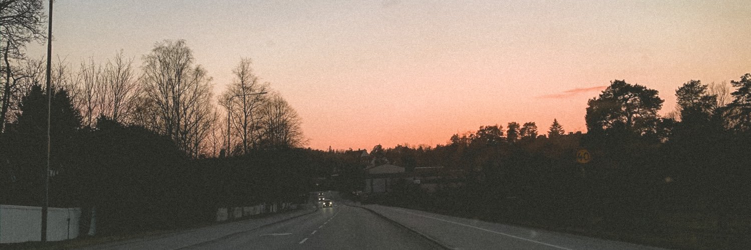 hansmanerik's profile banner image