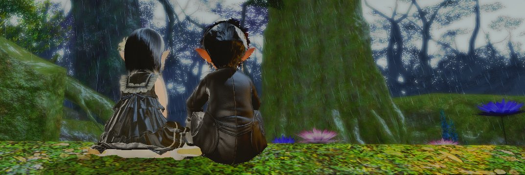 fallentwonine's profile banner image