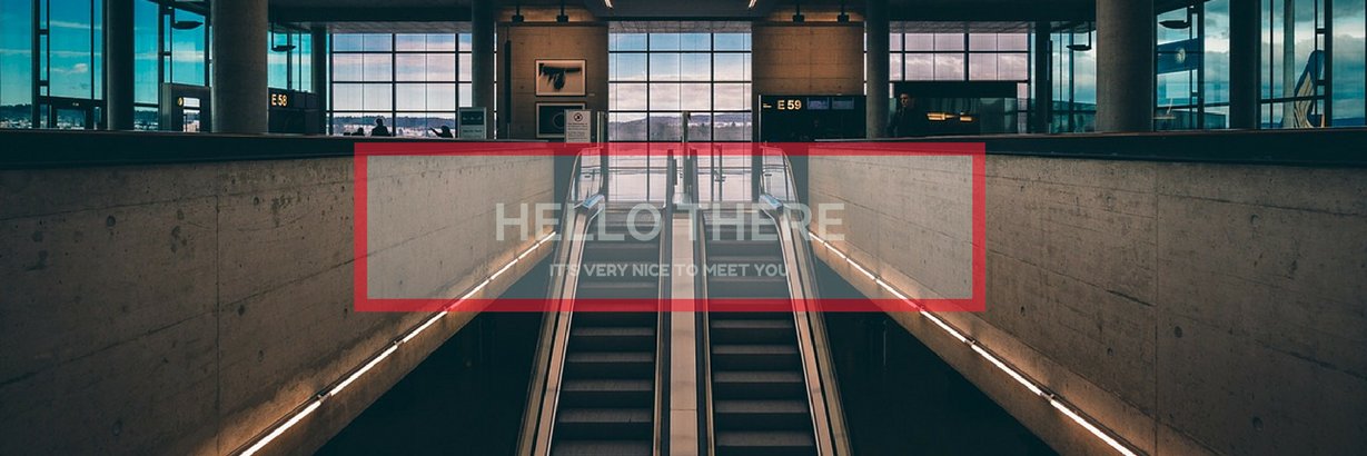newholla banner