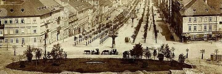 Pavla Aschermannová banner