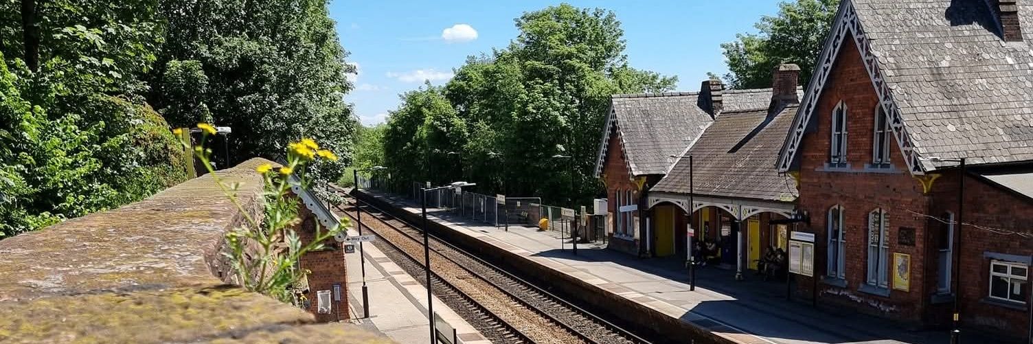 Josh Sinnott (Fedzor) banner