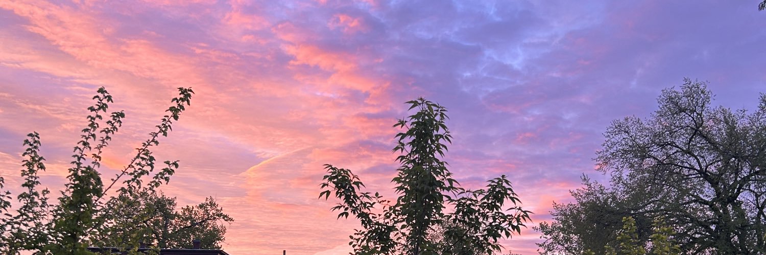 DoYouCeeNicky_'s profile banner image