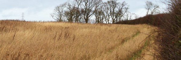 CVOScotland Profile Banner