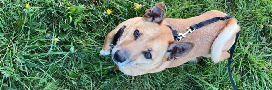 🏳️‍🌈 Bex Clarke CIHCM FInstLM (she/her) banner