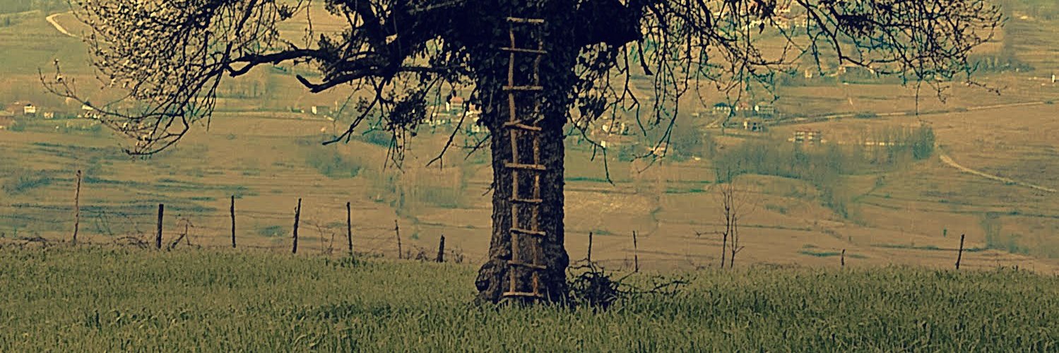 Emrah Çoraman banner