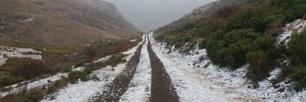 André J van Rensburg banner