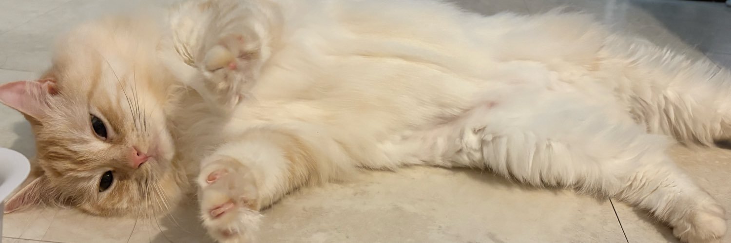 リの banner