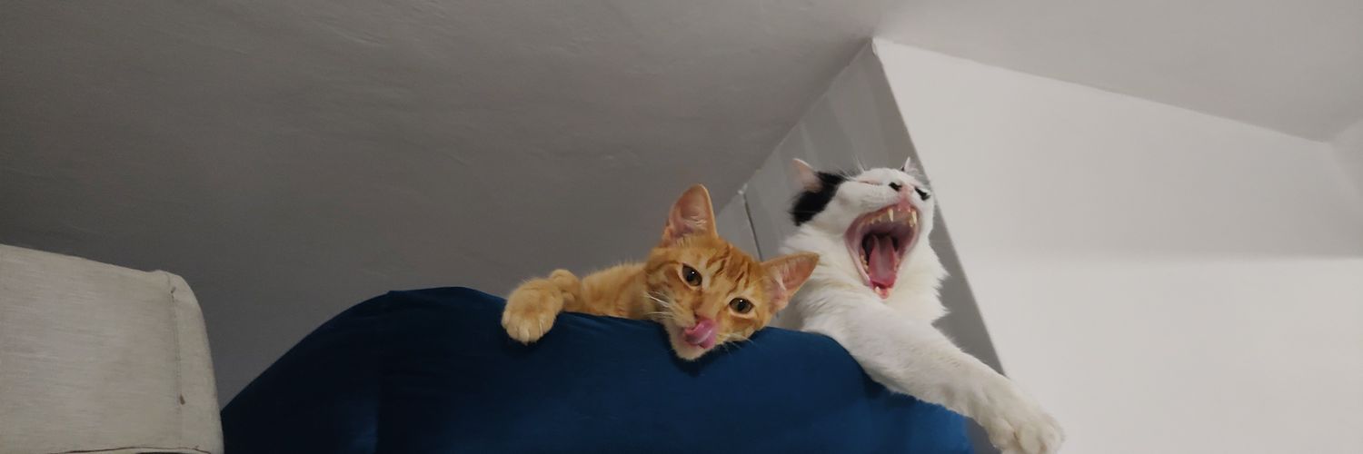 🇧🇷dachery banner