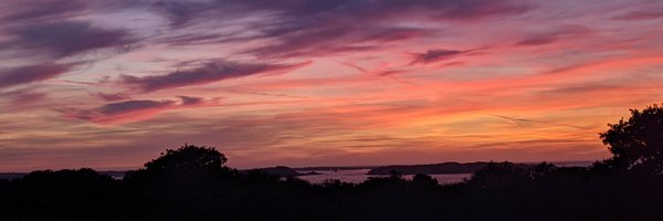 misyltoad Profile Banner