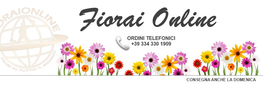 fioraionline's profile banner image