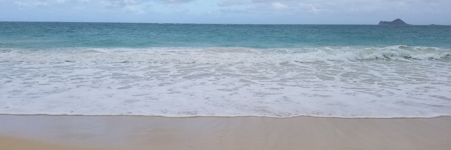 lavamonsterrrr's profile banner image