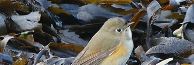 Alan Crossley banner