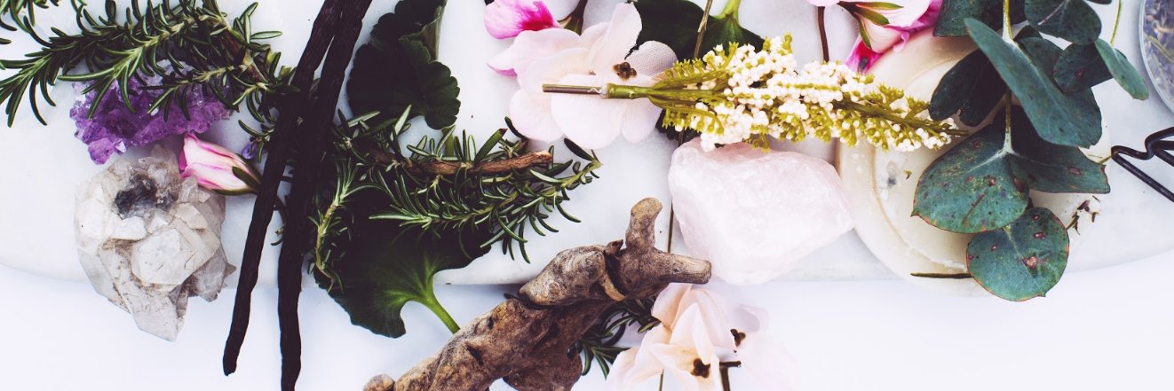 WarriorBotanica's profile banner image