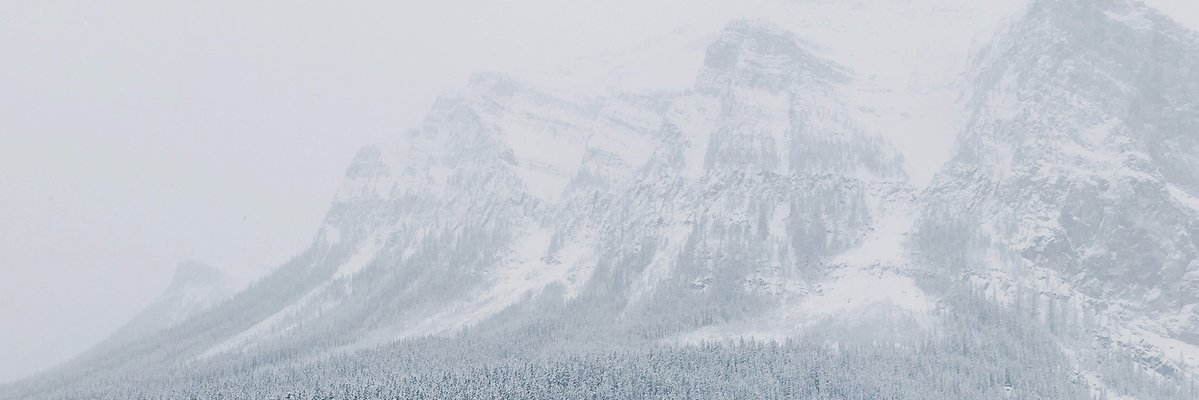 Peter Turguniev banner