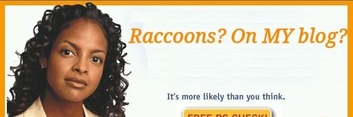 UrbanRingTail's profile banner image