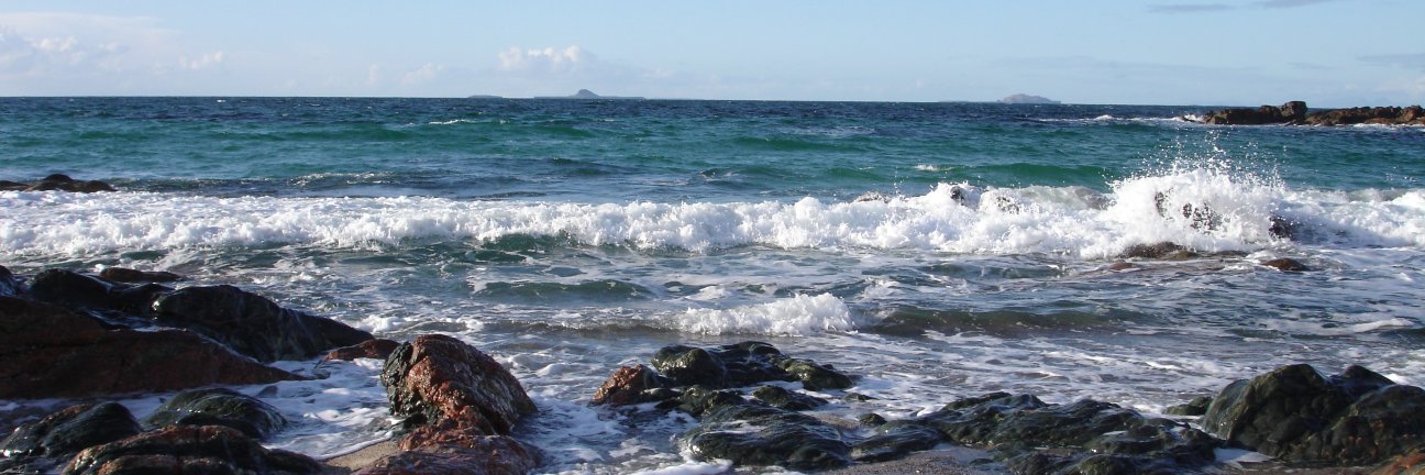 Dorothy Rodger banner