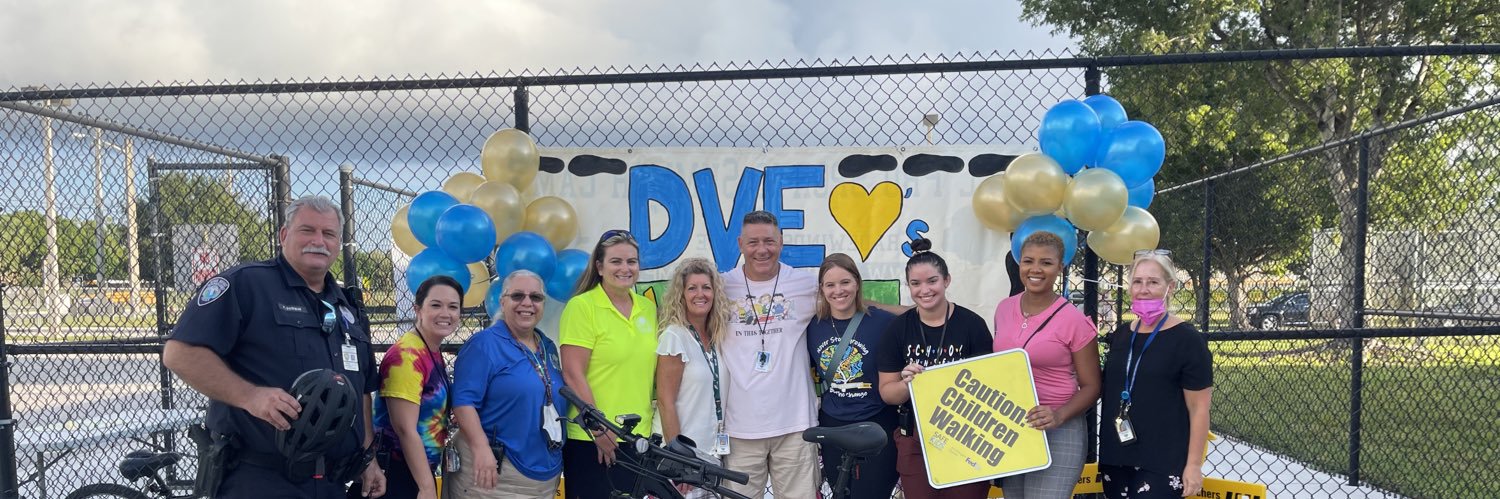 Diamond View Elementary PE banner