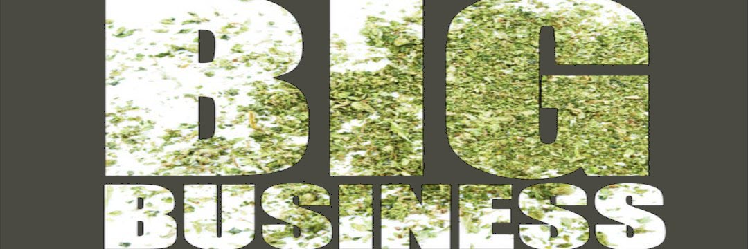 CannaBusinessPlans banner