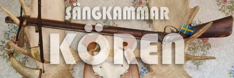 Henric Zetterberg 🇸🇪 banner