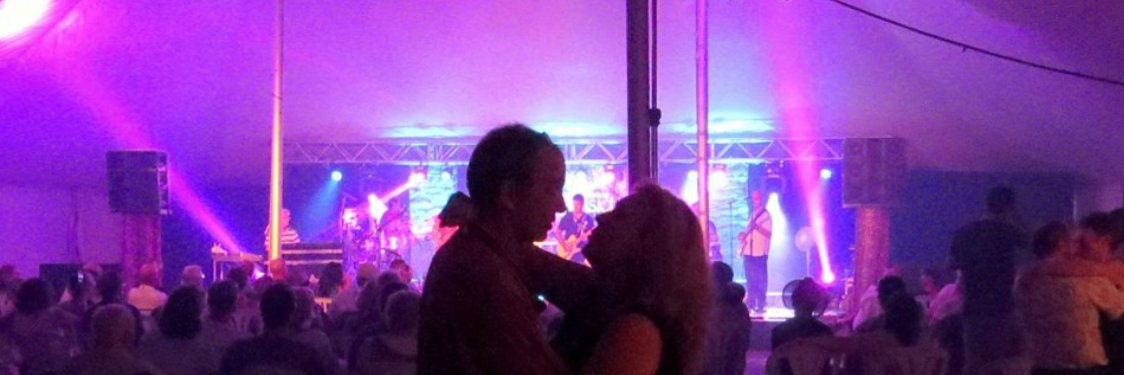 hudsonmusicfest's profile banner image