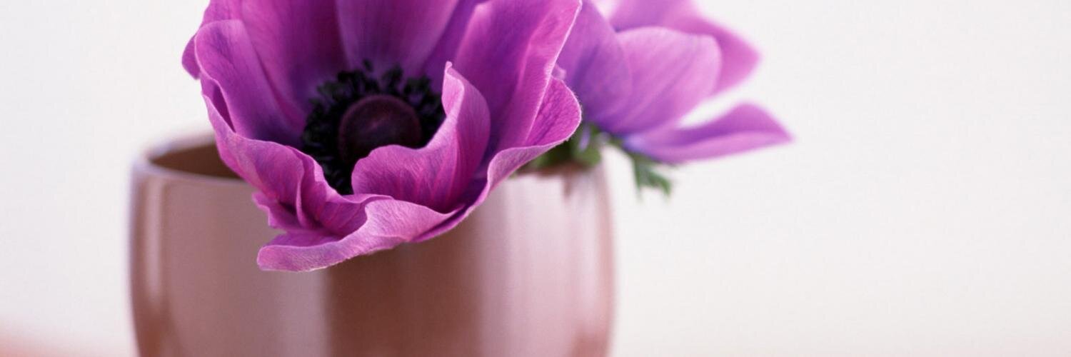 limegrnchic's profile banner image