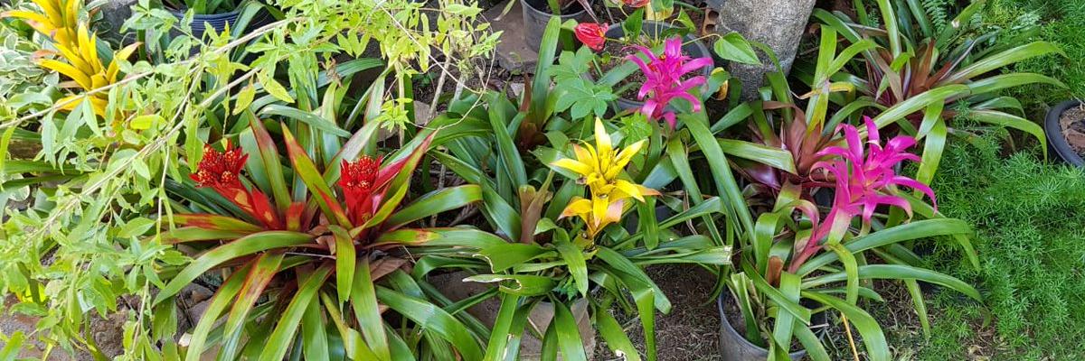 RosaIgnacio's profile banner image