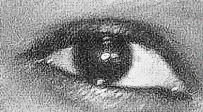 _MissMute's profile banner image