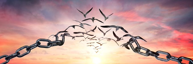 Helmut 🇩🇪 🕊 🌐 🍀 banner