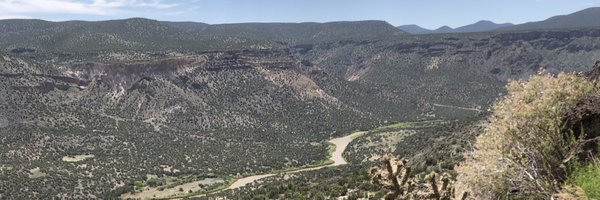 MoniqueBeyerle Profile Banner